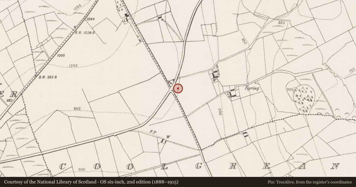 Ordnance Survey six-inch map, 2nd edition (1888–1915) covering the location of Barrow - ring-barrow, Reevanagh, County Kilkenny, with a pin at the register's coordinates