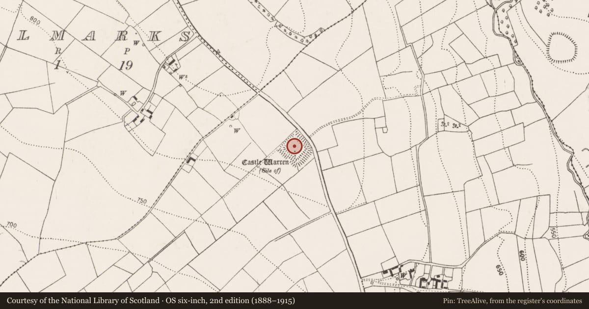 Ordnance Survey six-inch map, 2nd edition (1888–1915) covering the location of Bawn, Castlewarren, County Kilkenny, with a pin at the register's coordinates