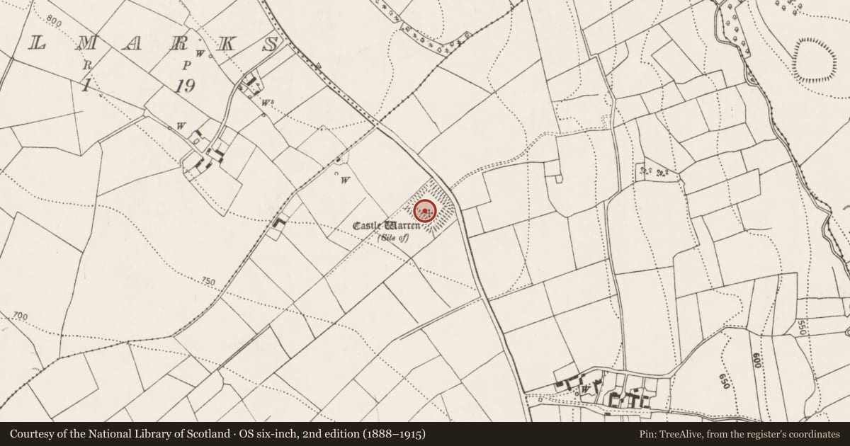 Ordnance Survey six-inch map, 2nd edition (1888–1915) covering the location of Castle - unclassified, Castlewarren, County Kilkenny, with a pin at the register's coordinates