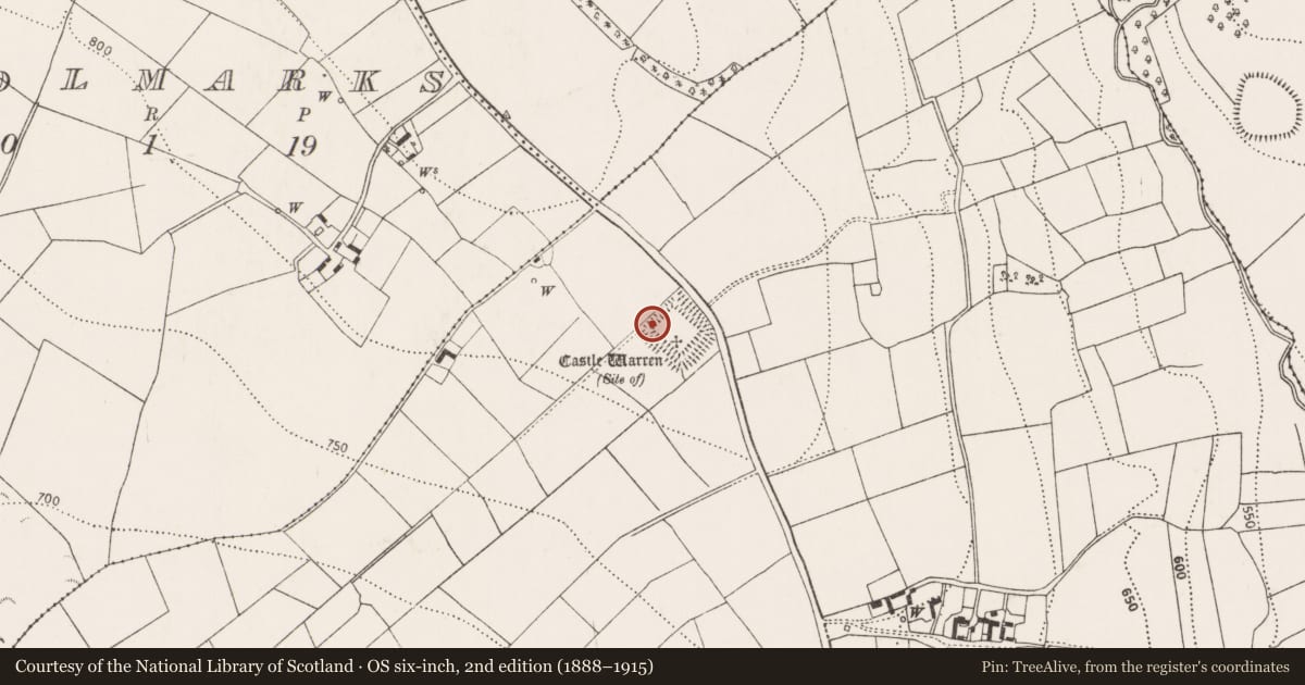 Ordnance Survey six-inch map, 2nd edition (1888–1915) covering the location of Building, Castlewarren, County Kilkenny, with a pin at the register's coordinates