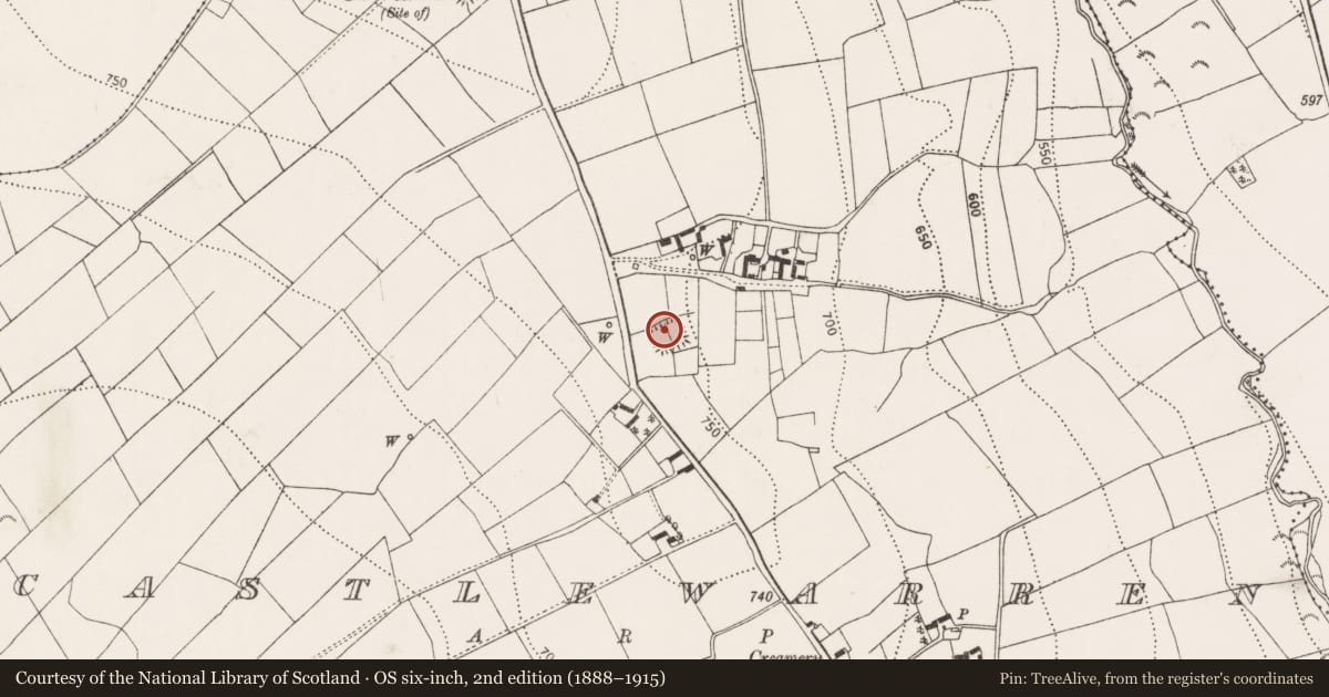 Ordnance Survey six-inch map, 2nd edition (1888–1915) covering the location of Moated site, Castlewarren, County Kilkenny, with a pin at the register's coordinates