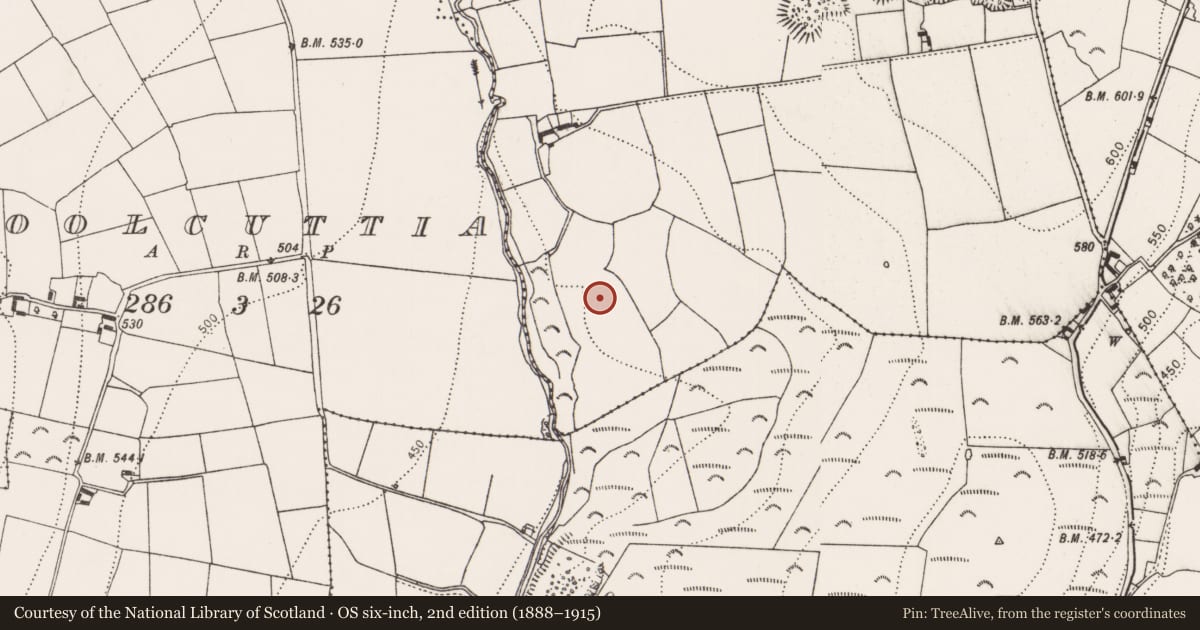 Ordnance Survey six-inch map, 2nd edition (1888–1915) covering the location of Enclosure, Coorleagh, County Kilkenny, with a pin at the register's coordinates