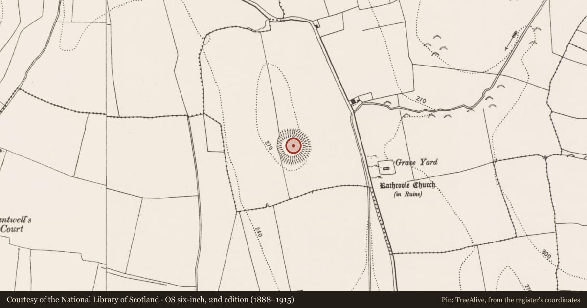 Ordnance Survey six-inch map, 2nd edition (1888–1915) covering the location of Enclosure, Carrigeen, County Kilkenny, with a pin at the register's coordinates