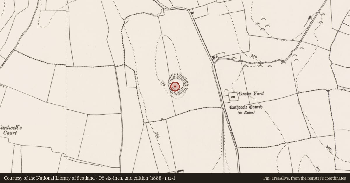 Ordnance Survey six-inch map, 2nd edition (1888–1915) covering the location of Mound, Carrigeen, County Kilkenny, with a pin at the register's coordinates