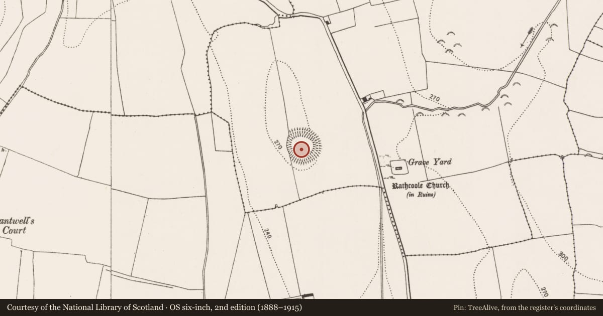 Ordnance Survey six-inch map, 2nd edition (1888–1915) covering the location of Mound, Carrigeen, County Kilkenny, with a pin at the register's coordinates