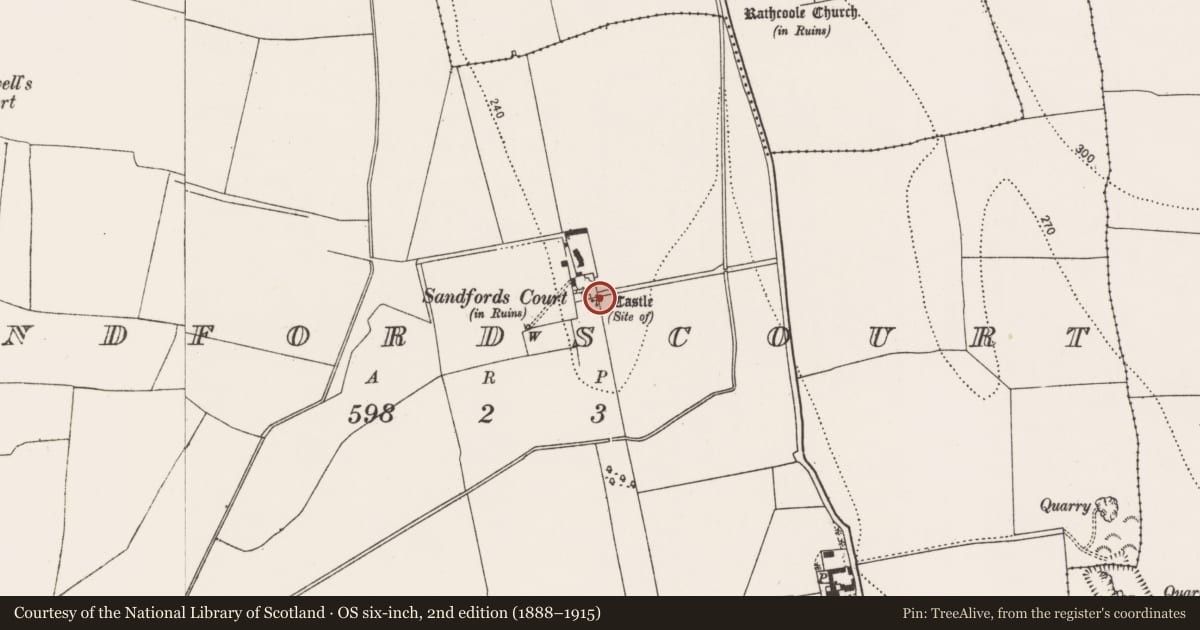 Ordnance Survey six-inch map, 2nd edition (1888–1915) covering the location of Castle - unclassified, Sandfordscourt, County Kilkenny, with a pin at the register's coordinates