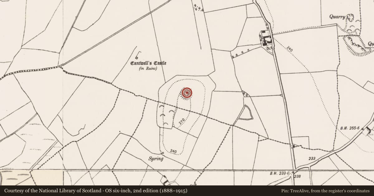 Ordnance Survey six-inch map, 2nd edition (1888–1915) covering the location of Ringfort - rath, Sandfordscourt, County Kilkenny, with a pin at the register's coordinates