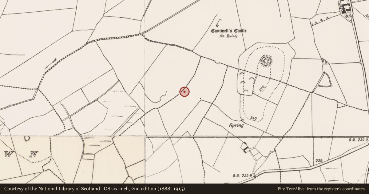 Ordnance Survey six-inch map, 2nd edition (1888–1915) covering the location of Enclosure, Cellarstown West, Greenridge, County Kilkenny, with a pin at the register's coordinates