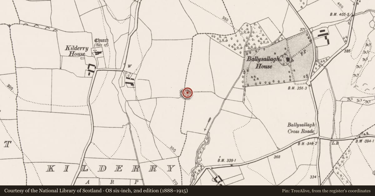 Ordnance Survey six-inch map, 2nd edition (1888–1915) covering the location of Ringfort - rath, Ballysallagh, Kilderry, County Kilkenny, with a pin at the register's coordinates