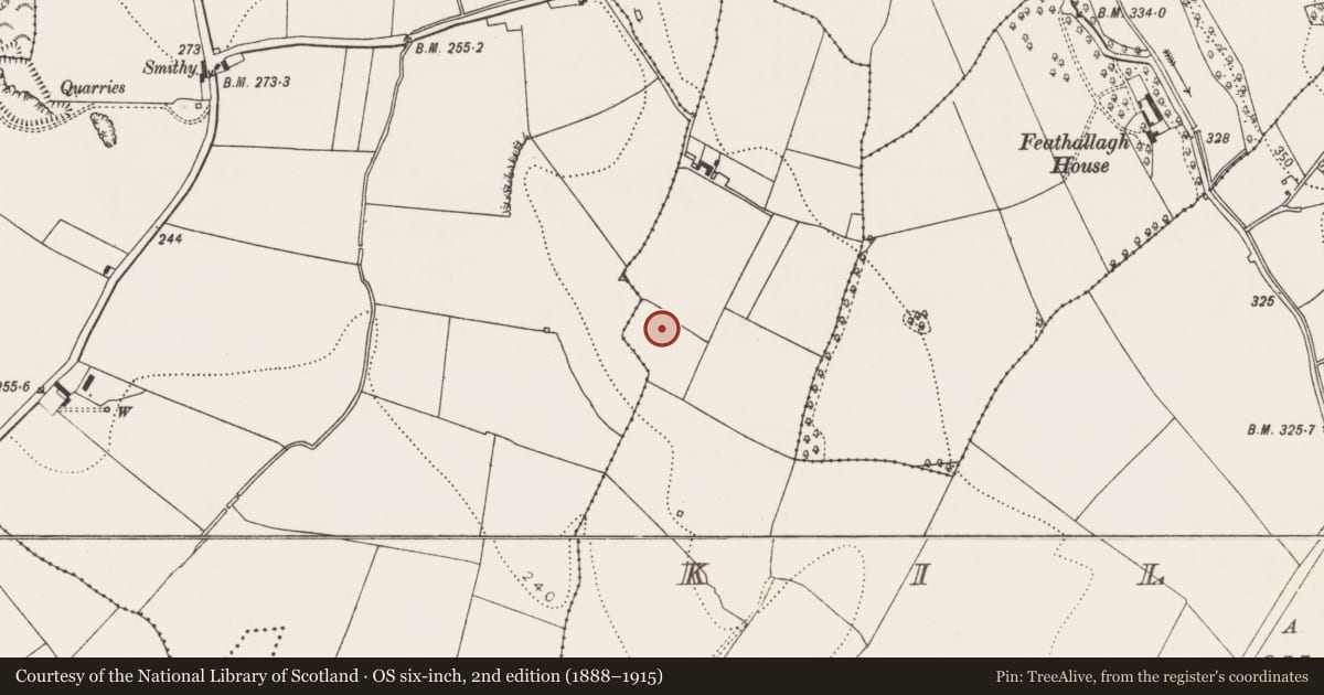 Ordnance Survey six-inch map, 2nd edition (1888–1915) covering the location of Enclosure, Kilmagar, County Kilkenny, with a pin at the register's coordinates