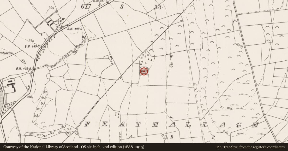Ordnance Survey six-inch map, 2nd edition (1888–1915) covering the location of Moated site, Feathallagh, County Kilkenny, with a pin at the register's coordinates