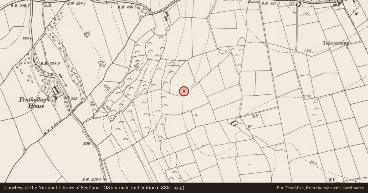 Ordnance Survey six-inch map, 2nd edition (1888–1915) covering the location of Enclosure, Kilmagar, County Kilkenny, with a pin at the register's coordinates
