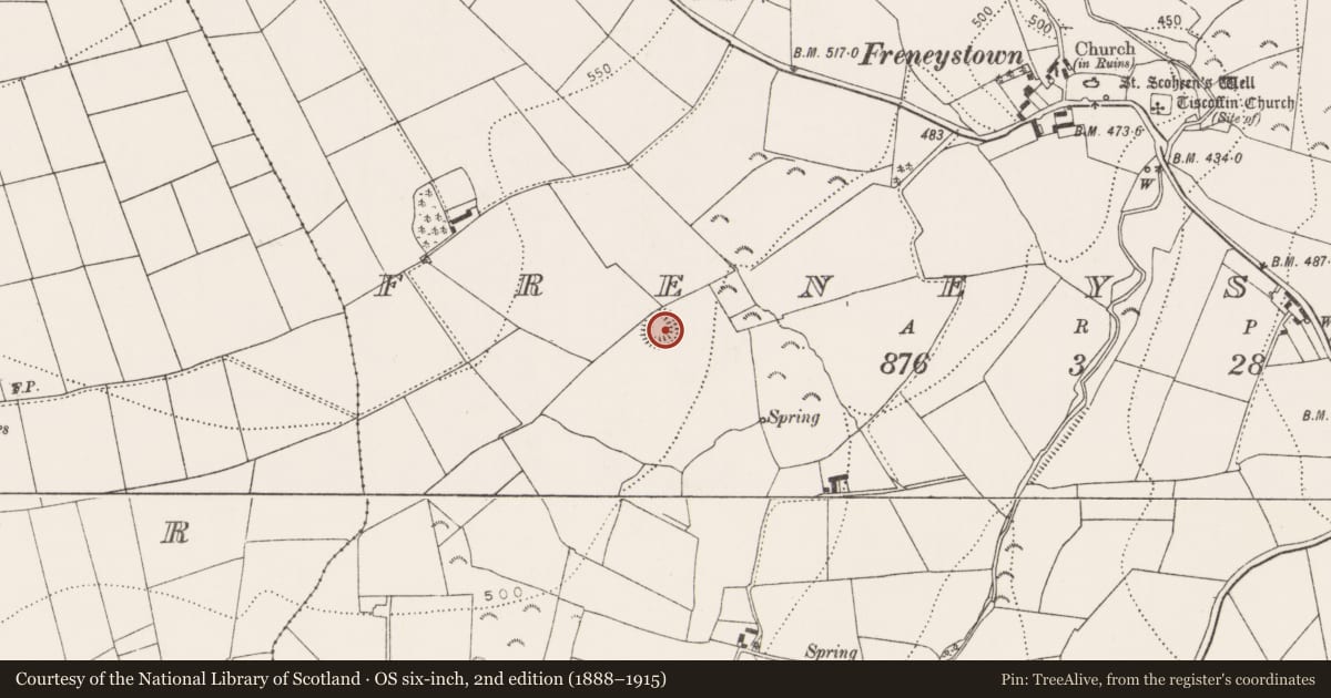 Ordnance Survey six-inch map, 2nd edition (1888–1915) covering the location of Ringfort - rath, Freneystown, County Kilkenny, with a pin at the register's coordinates