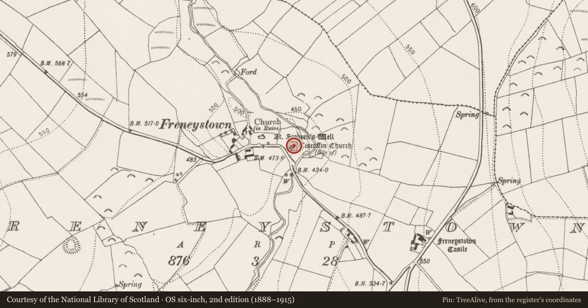 Ordnance Survey six-inch map, 2nd edition (1888–1915) covering the location of Graveyard, Freneystown, County Kilkenny, with a pin at the register's coordinates
