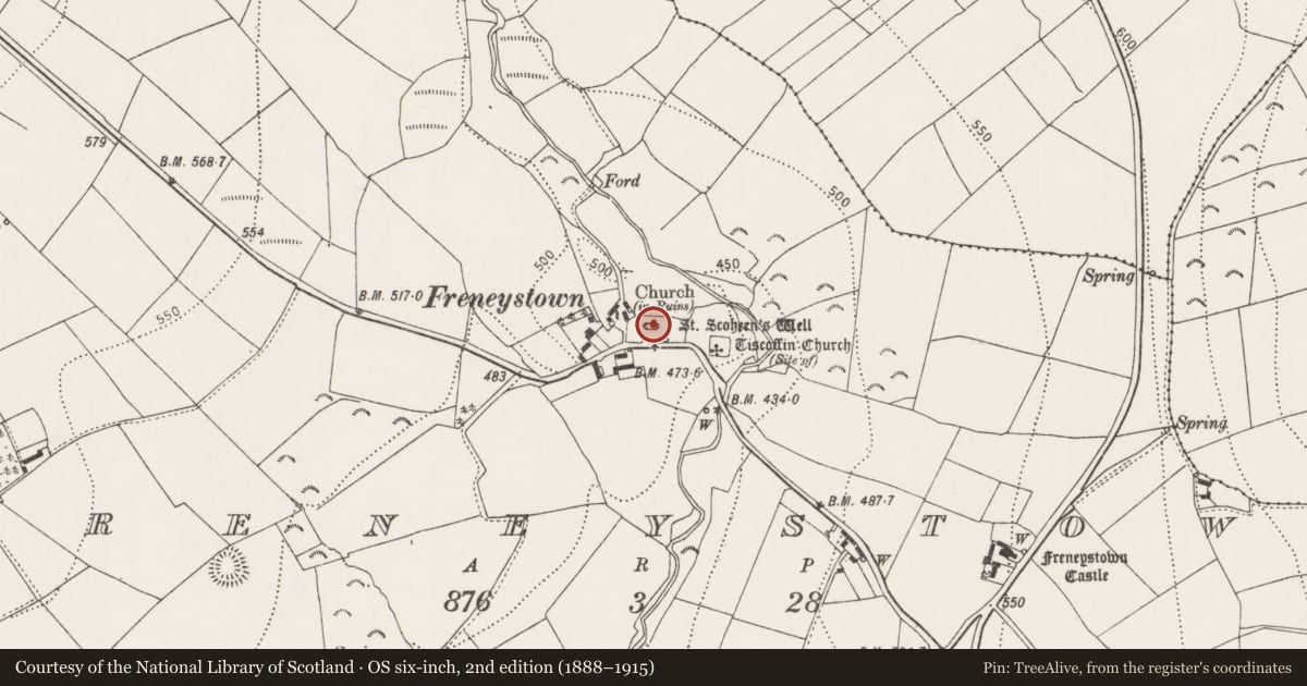 Ordnance Survey six-inch map, 2nd edition (1888–1915) covering the location of Church, Freneystown, County Kilkenny, with a pin at the register's coordinates