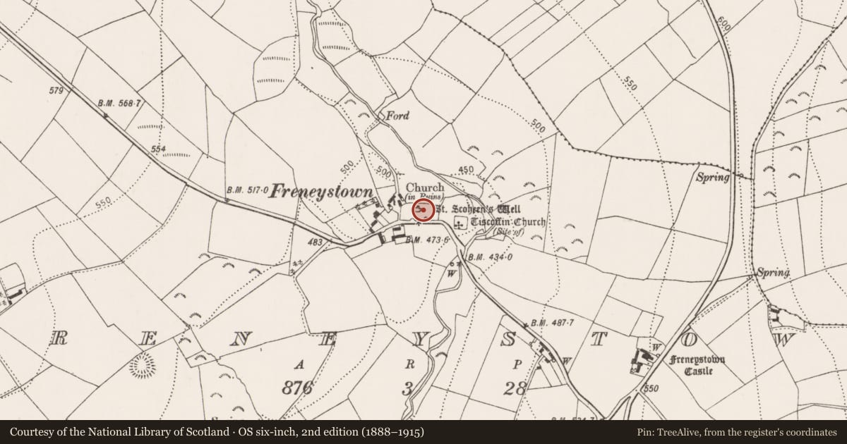 Ordnance Survey six-inch map, 2nd edition (1888–1915) covering the location of Graveyard, Freneystown, County Kilkenny, with a pin at the register's coordinates