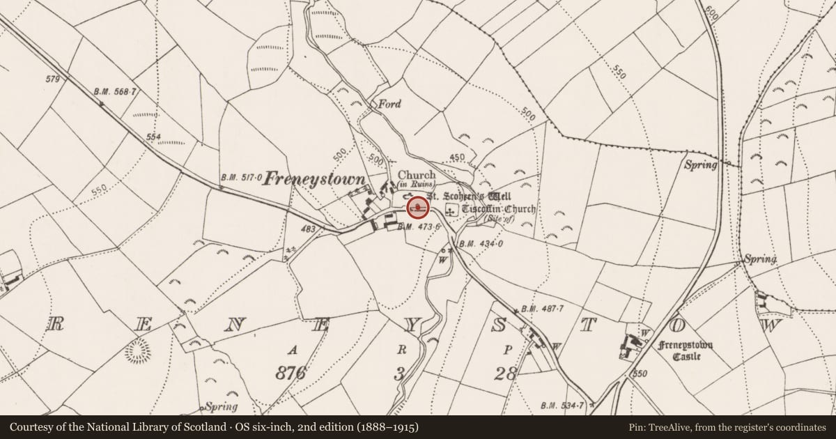 Ordnance Survey six-inch map, 2nd edition (1888–1915) covering the location of Ritual site - holy well, Freneystown, County Kilkenny, with a pin at the register's coordinates