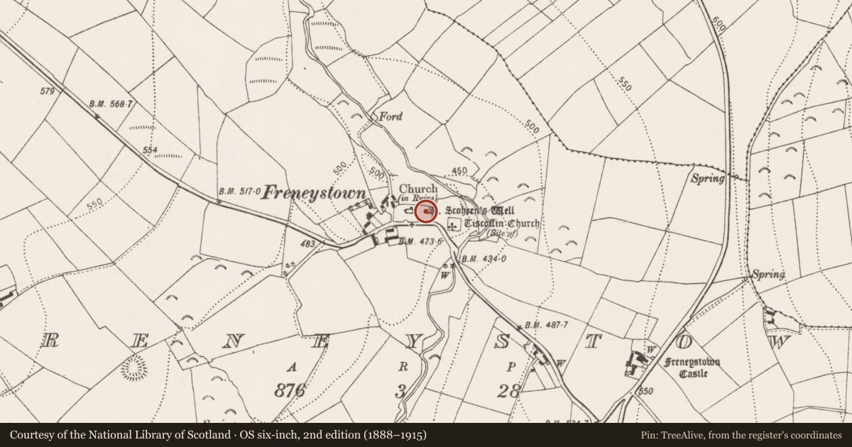 Ordnance Survey six-inch map, 2nd edition (1888–1915) covering the location of Graveslab, Freneystown, County Kilkenny, with a pin at the register's coordinates