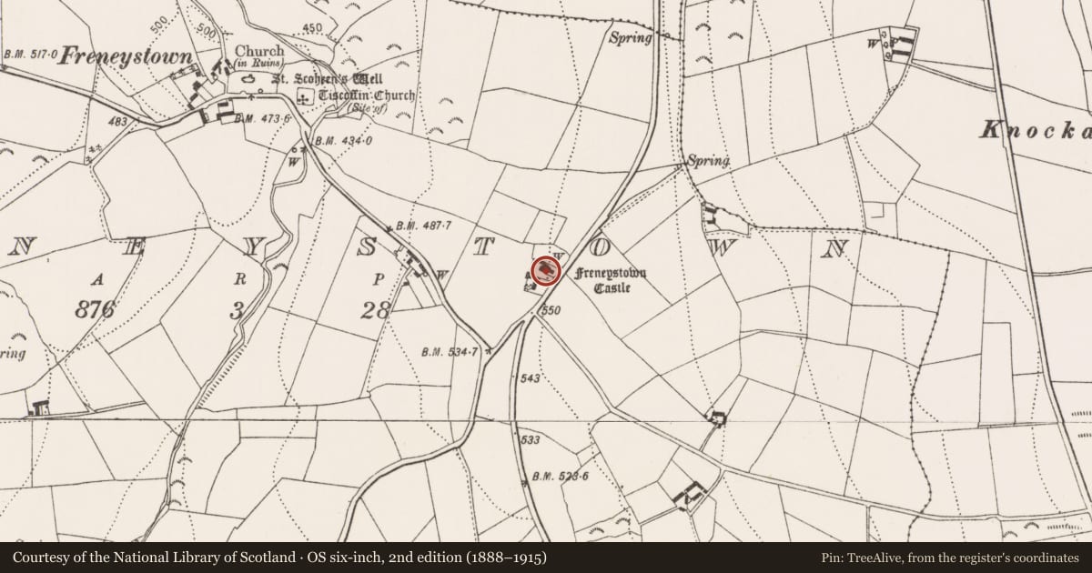 Ordnance Survey six-inch map, 2nd edition (1888–1915) covering the location of Castle - tower house, Freneystown, County Kilkenny, with a pin at the register's coordinates