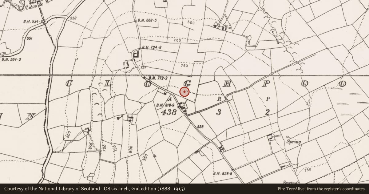 Ordnance Survey six-inch map, 2nd edition (1888–1915) covering the location of Enclosure, Cloghpook, County Kilkenny, with a pin at the register's coordinates