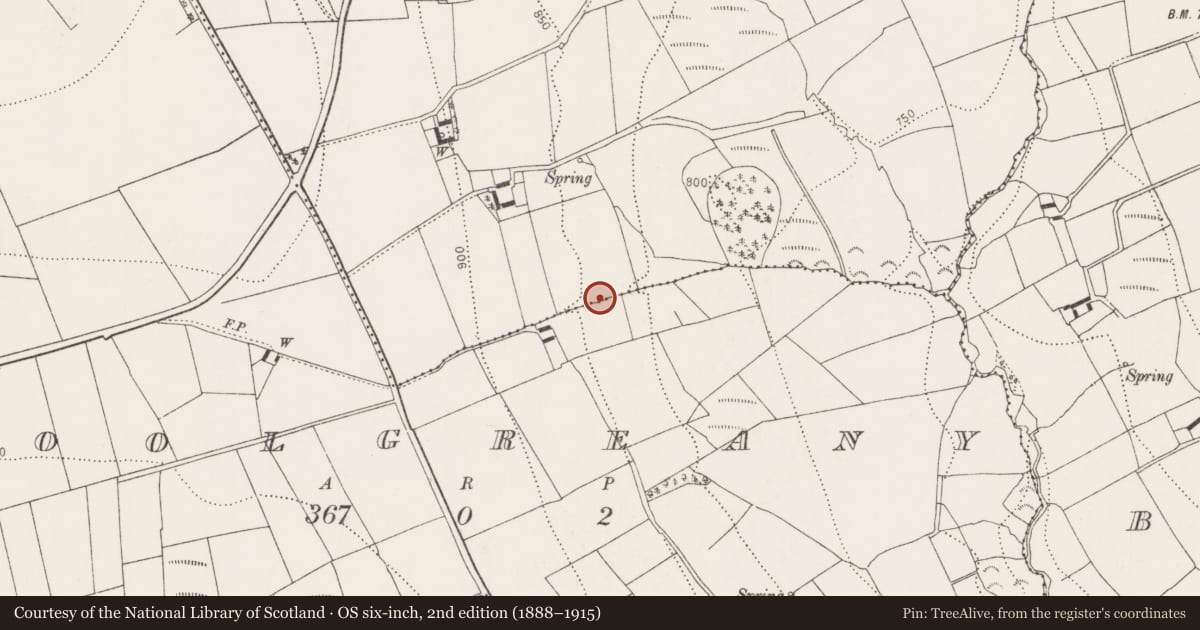 Ordnance Survey six-inch map, 2nd edition (1888–1915) covering the location of Road - hollow-way, Coolgreany, Reevanagh, County Kilkenny, with a pin at the register's coordinates