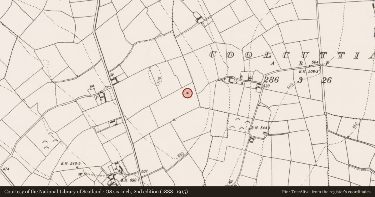 Ordnance Survey six-inch map, 2nd edition (1888–1915) covering the location of Ringfort - rath, Ballygorteen, County Kilkenny, with a pin at the register's coordinates