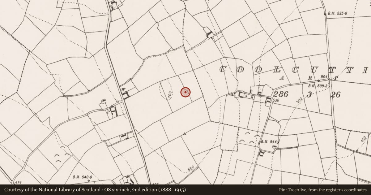 Ordnance Survey six-inch map, 2nd edition (1888–1915) covering the location of Enclosure, Ballygorteen, County Kilkenny, with a pin at the register's coordinates