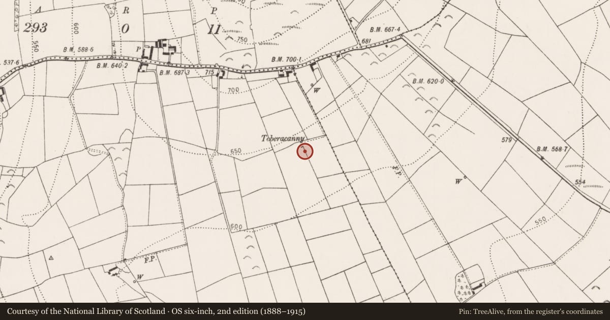 Ordnance Survey six-inch map, 2nd edition (1888–1915) covering the location of Fulacht fia, Kilmagar, County Kilkenny, with a pin at the register's coordinates