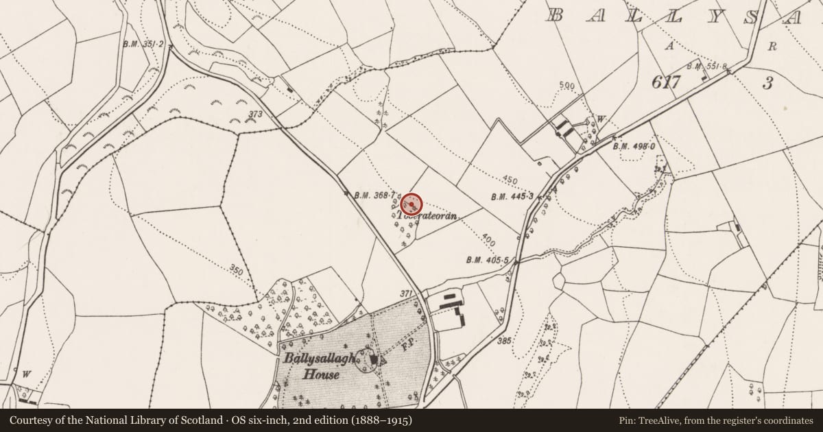 Ordnance Survey six-inch map, 2nd edition (1888–1915) covering the location of Fulacht fia, Ballysallagh, County Kilkenny, with a pin at the register's coordinates