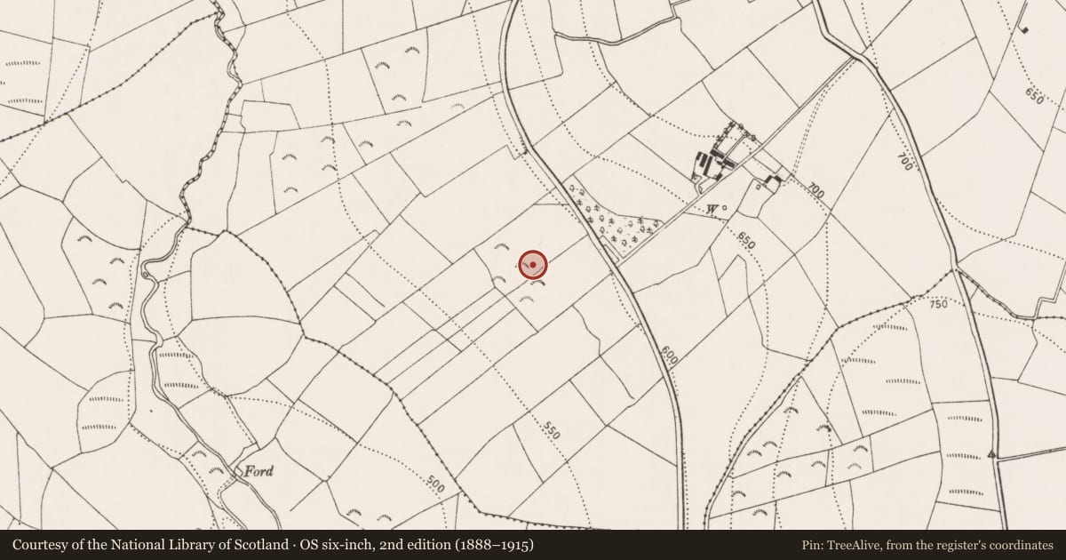 Ordnance Survey six-inch map, 2nd edition (1888–1915) covering the location of Mound, Castlewarren, County Kilkenny, with a pin at the register's coordinates