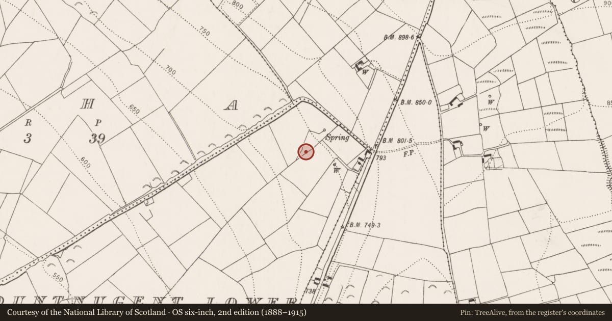 Ordnance Survey six-inch map, 2nd edition (1888–1915) covering the location of Fulacht fia, Mountnugent Lower, County Kilkenny, with a pin at the register's coordinates