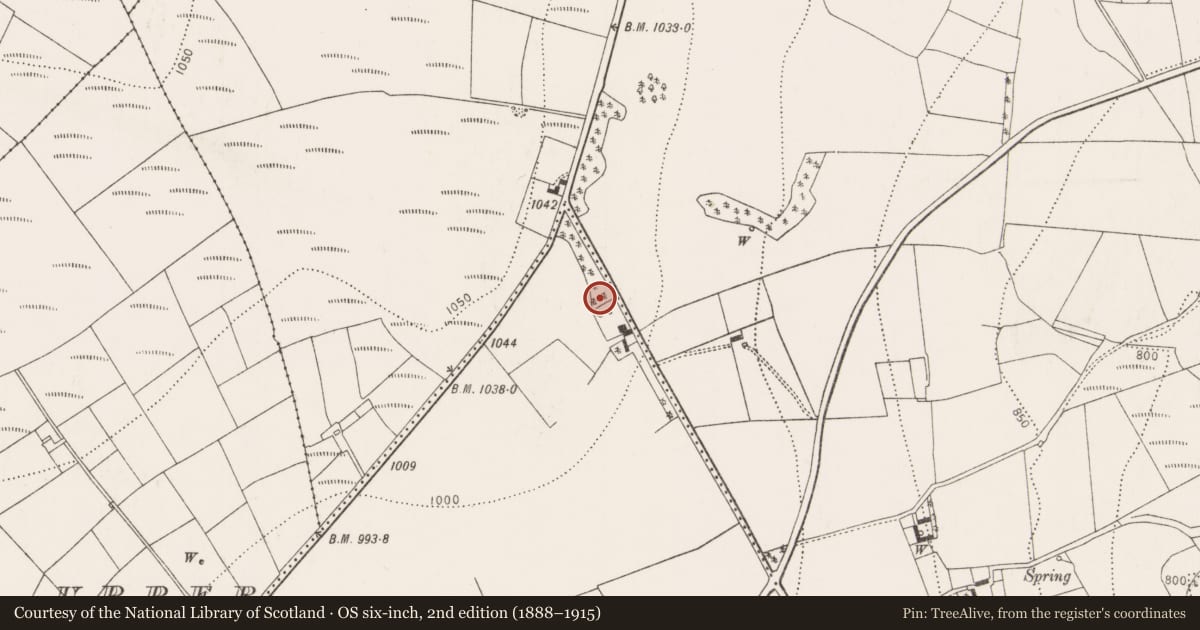 Ordnance Survey six-inch map, 2nd edition (1888–1915) covering the location of Cairn - unclassified, Coolgreany, County Kilkenny, with a pin at the register's coordinates