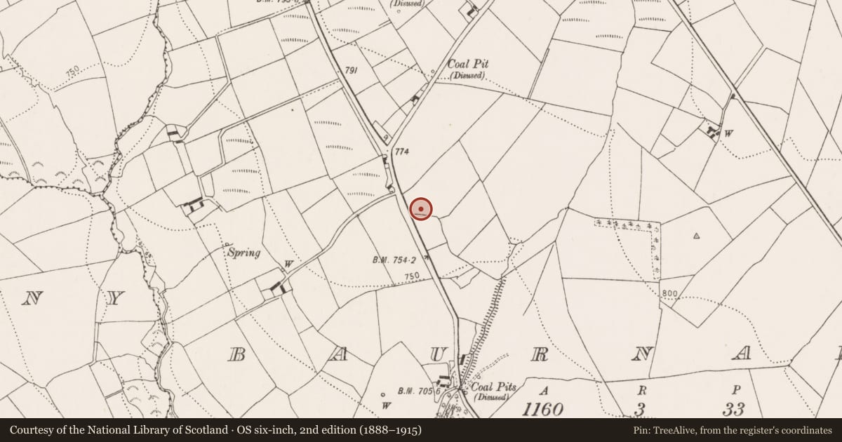 Ordnance Survey six-inch map, 2nd edition (1888–1915) covering the location of Fulacht fia, Baurnafea, County Kilkenny, with a pin at the register's coordinates