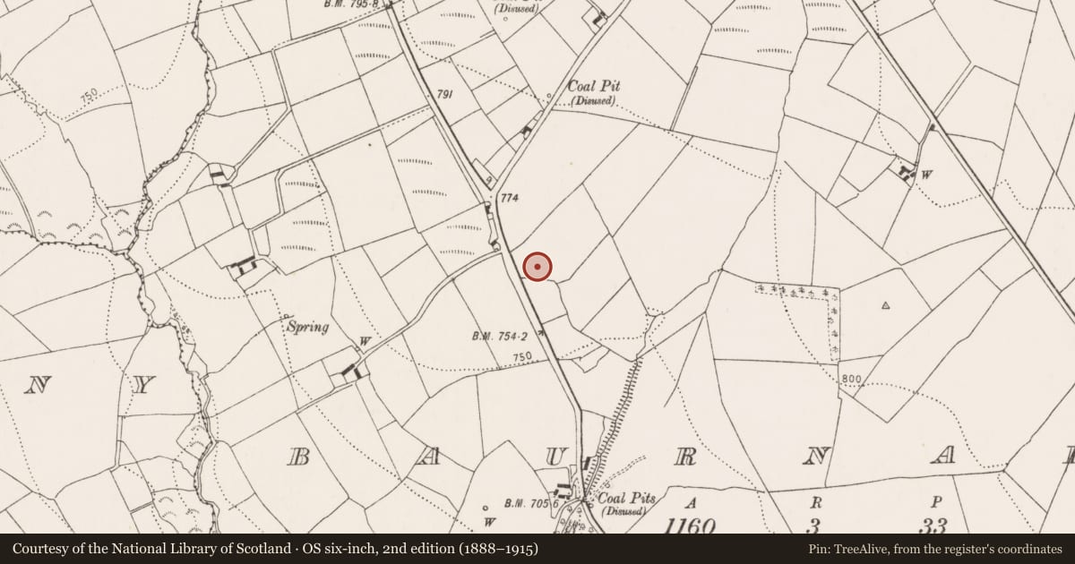 Ordnance Survey six-inch map, 2nd edition (1888–1915) covering the location of Field boundary, Baurnafea, County Kilkenny, with a pin at the register's coordinates
