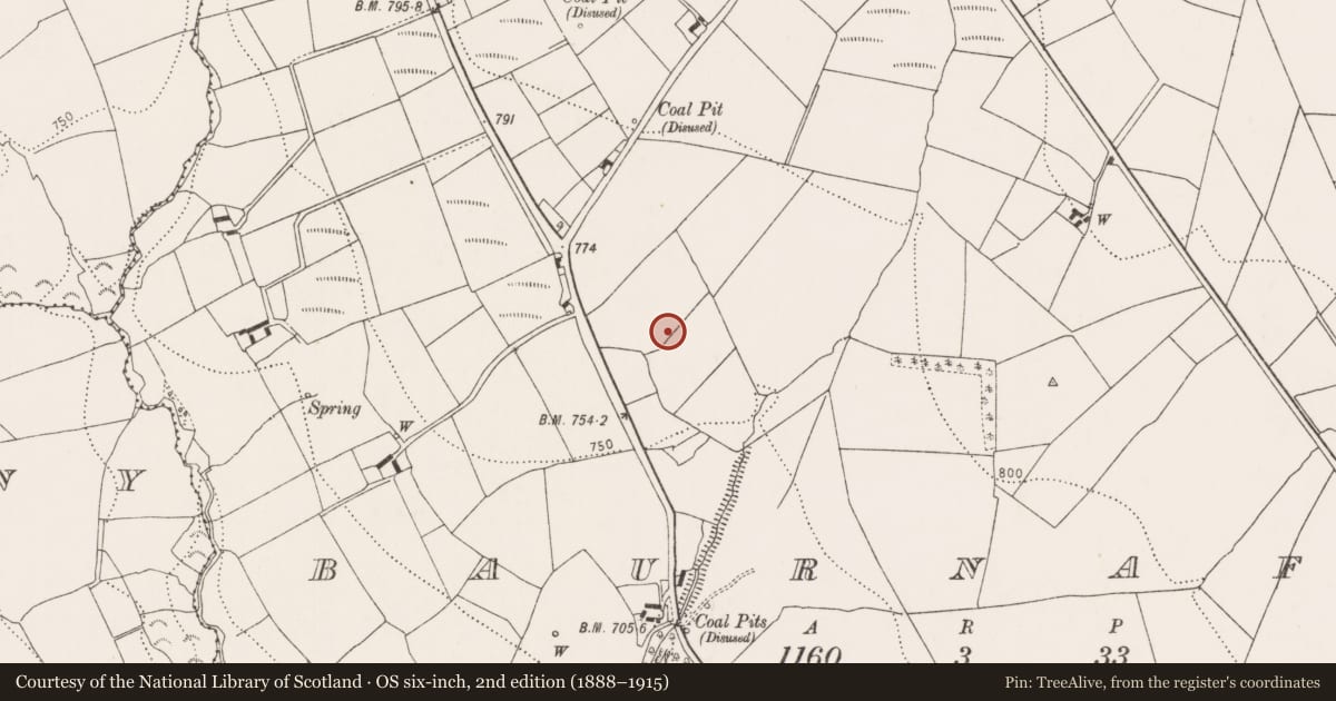 Ordnance Survey six-inch map, 2nd edition (1888–1915) covering the location of Barrow - ring-barrow, Baurnafea, County Kilkenny, with a pin at the register's coordinates
