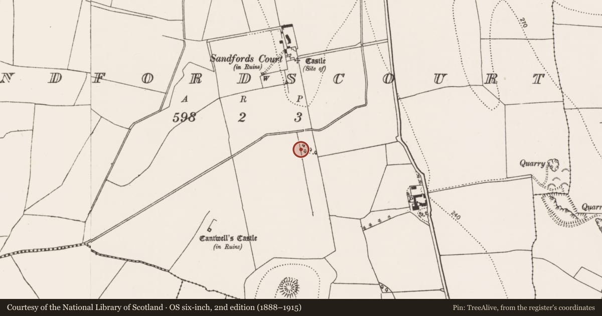 Ordnance Survey six-inch map, 2nd edition (1888–1915) covering the location of Bridge, Sandfordscourt, County Kilkenny, with a pin at the register's coordinates