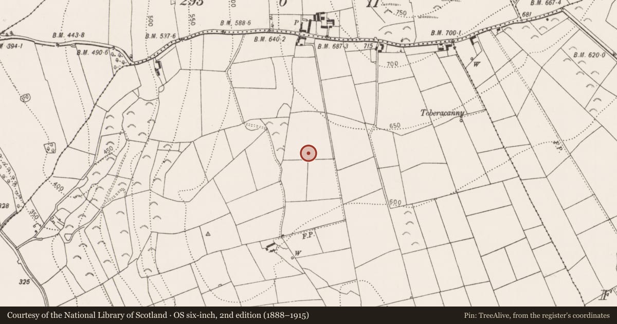Ordnance Survey six-inch map, 2nd edition (1888–1915) covering the location of Fulacht fia, Kilmagar, County Kilkenny, with a pin at the register's coordinates