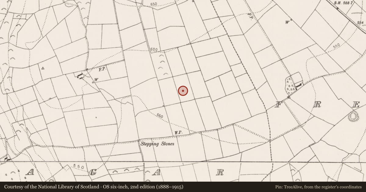 Ordnance Survey six-inch map, 2nd edition (1888–1915) covering the location of Fulacht fia, Kilmagar, County Kilkenny, with a pin at the register's coordinates