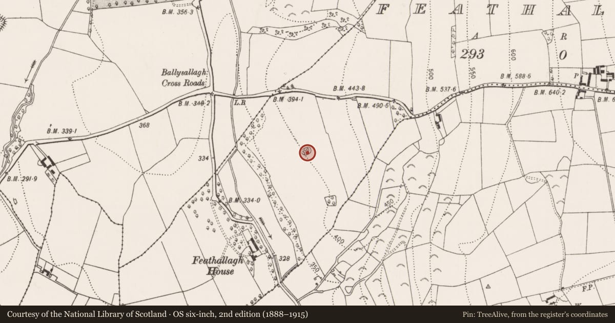 Ordnance Survey six-inch map, 2nd edition (1888–1915) covering the location of Enclosure, Feathallagh, County Kilkenny, with a pin at the register's coordinates