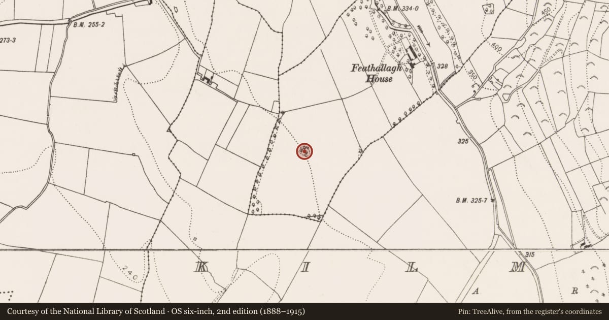 Ordnance Survey six-inch map, 2nd edition (1888–1915) covering the location of Enclosure, Feathallagh, County Kilkenny, with a pin at the register's coordinates