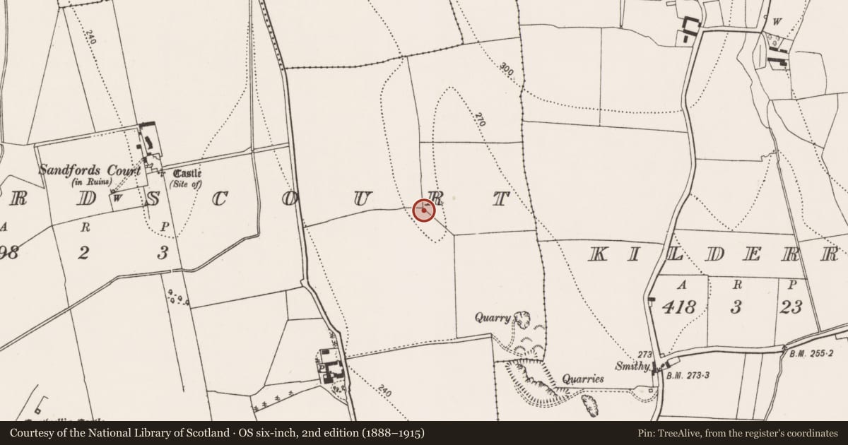 Ordnance Survey six-inch map, 2nd edition (1888–1915) covering the location of Enclosure - large enclosure, Sandfordscourt, County Kilkenny, with a pin at the register's coordinates