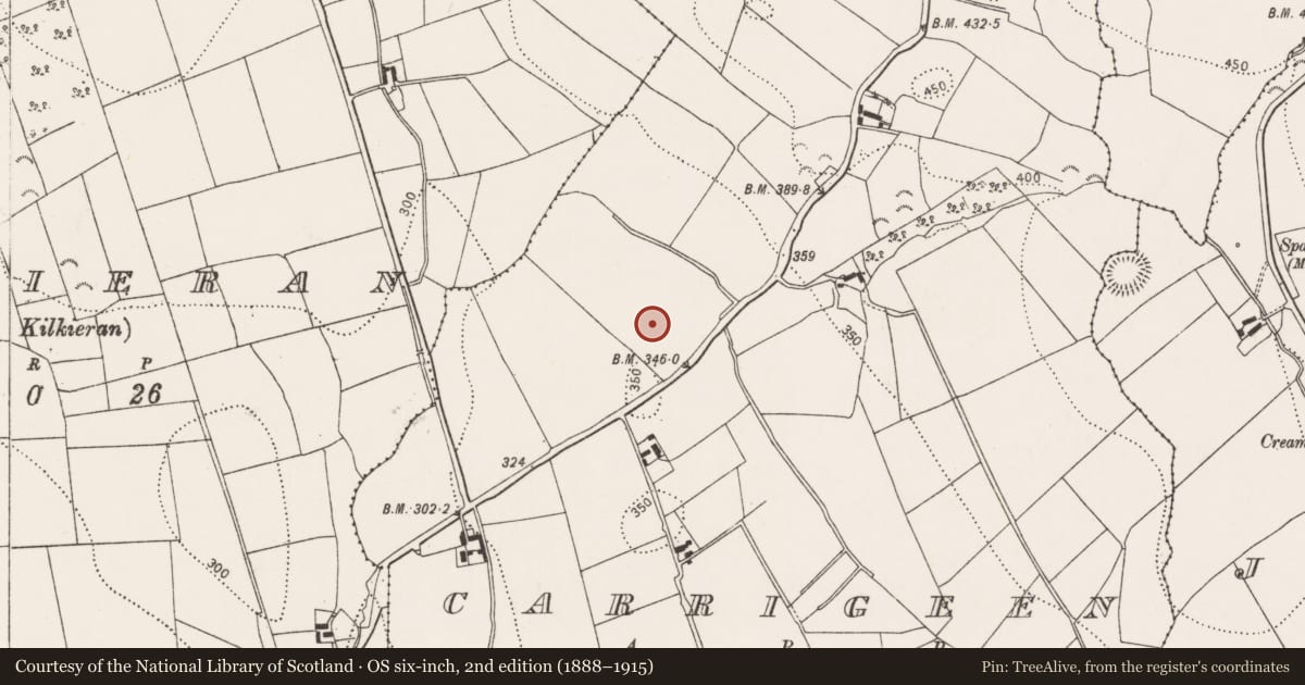 Ordnance Survey six-inch map, 2nd edition (1888–1915) covering the location of Enclosure, Carrigeen, County Kilkenny, with a pin at the register's coordinates