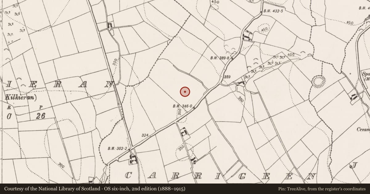 Ordnance Survey six-inch map, 2nd edition (1888–1915) covering the location of Enclosure, Carrigeen, County Kilkenny, with a pin at the register's coordinates