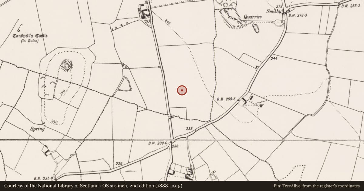 Ordnance Survey six-inch map, 2nd edition (1888–1915) covering the location of Ring-ditch, Sandfordscourt, County Kilkenny, with a pin at the register's coordinates