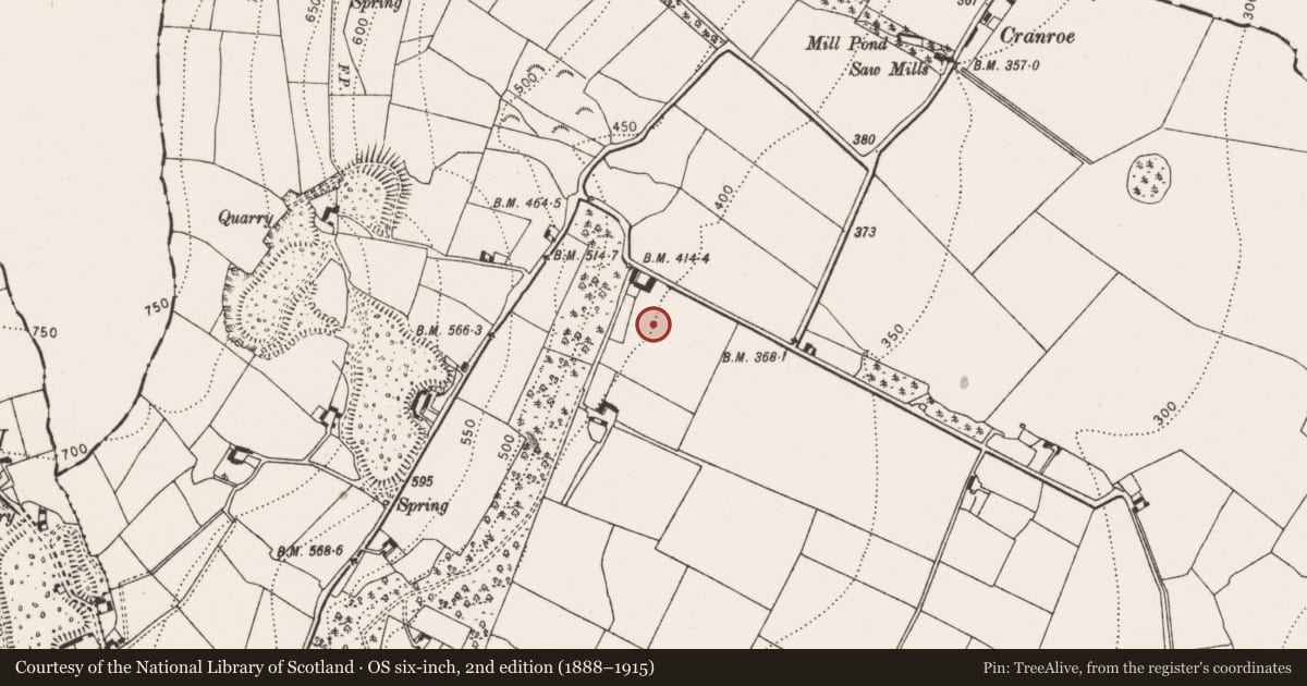 Ordnance Survey six-inch map, 2nd edition (1888–1915) covering the location of Moated site, Shankill, County Kilkenny, with a pin at the register's coordinates