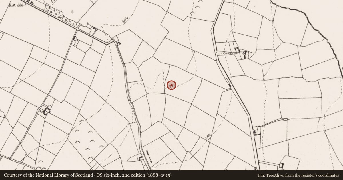 Ordnance Survey six-inch map, 2nd edition (1888–1915) covering the location of Burnt spread, Shankill, County Kilkenny, with a pin at the register's coordinates