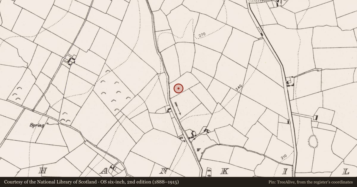 Ordnance Survey six-inch map, 2nd edition (1888–1915) covering the location of Burnt spread, Shankill, County Kilkenny, with a pin at the register's coordinates
