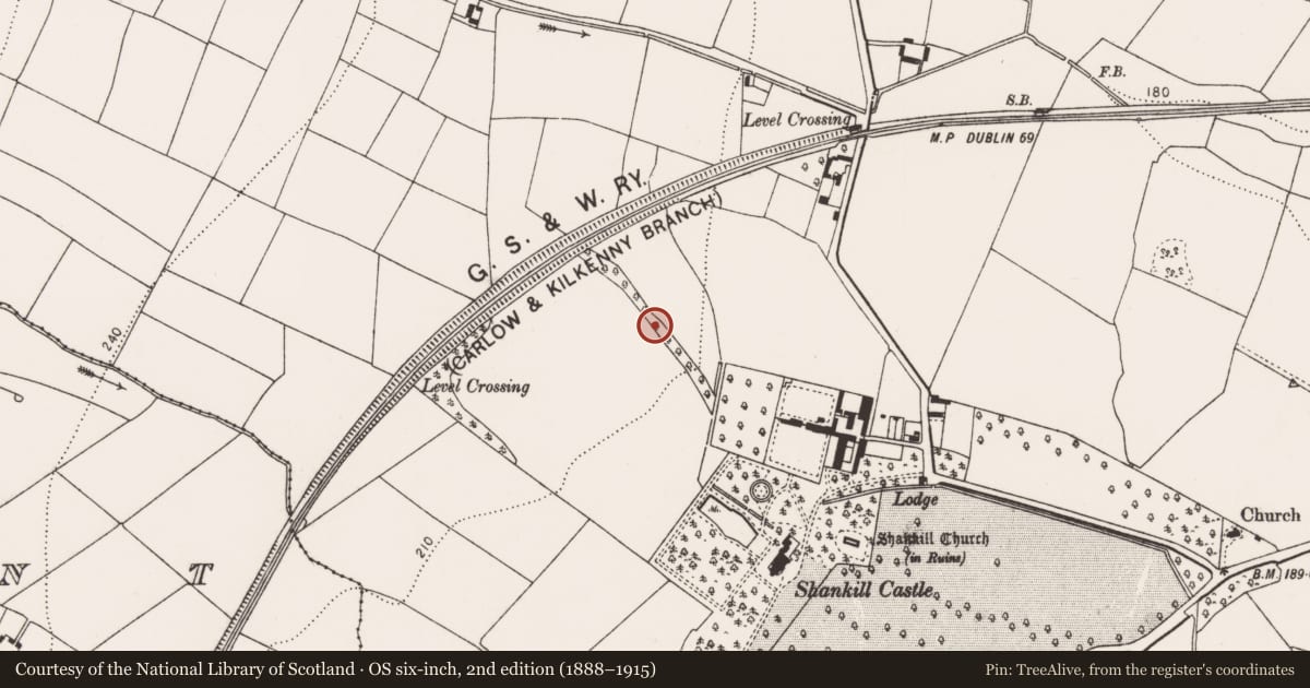 Ordnance Survey six-inch map, 2nd edition (1888–1915) covering the location of Linear earthwork, Shankill, County Kilkenny, with a pin at the register's coordinates