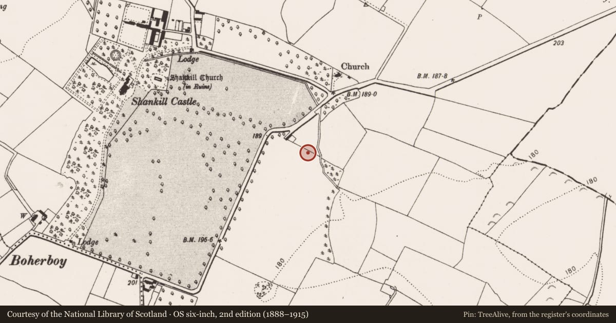 Ordnance Survey six-inch map, 2nd edition (1888–1915) covering the location of Linear earthwork, Shankill, County Kilkenny, with a pin at the register's coordinates
