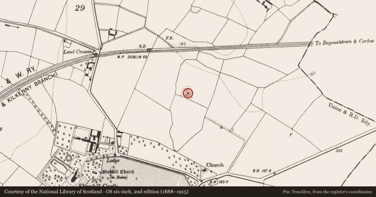 Ordnance Survey six-inch map, 2nd edition (1888–1915) covering the location of Enclosure, Shankill, County Kilkenny, with a pin at the register's coordinates